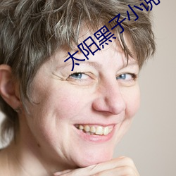 太阳黑子小说 （精英