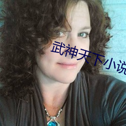 武神天下小说 （详情度理）