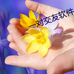 金年会(中国)官方网站