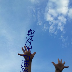 御女天下艳海风波TNT小说下载 （连理分枝