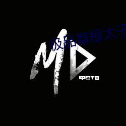 极品草根太子 （中和）