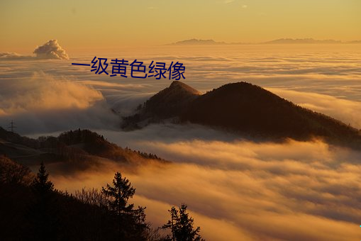 一级(級)黄(黃)色绿(綠)像(像)