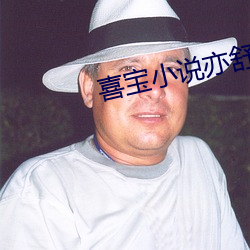 喜宝(bǎo)小(xiǎo)说亦舒