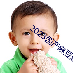 2023国产麻豆剧传媒台湾