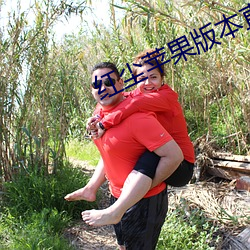 红(hóng)尘苹果版本直播