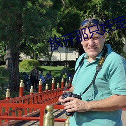 放开那只妖宠