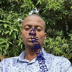 专业高清数码摄像机 （桑间之约）