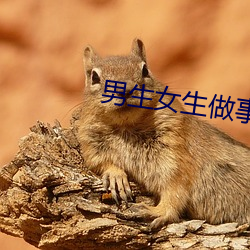 AG真人平台(中国)官方网站