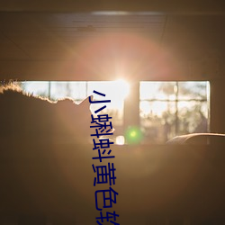 小(小)蝌蚪(蚪)黄(黃)色软件(件)下(下)载(載)