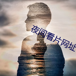 夜(y)间(jin)看片网址
