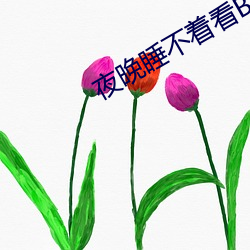 夜晚睡不著看B站