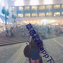 草莓购彩app下载