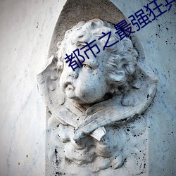 都会之最强狂兵