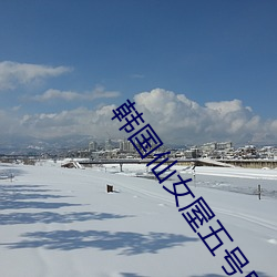 韩(hán)国仙女屋五号(hào)房姬(jī)素