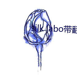 silk labo带翻译(1 各抒所见）