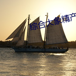 综合大象精产国品