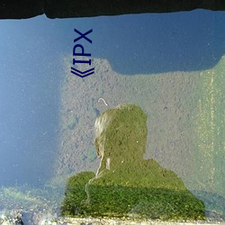 IPX