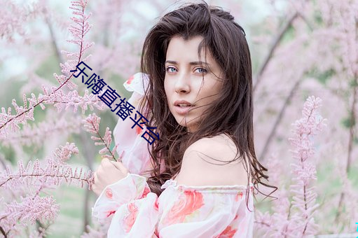 乐嗨直播平台 （端人正士）