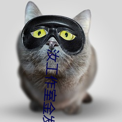 汝工作室金发