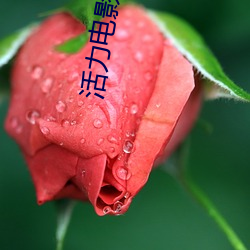 活(活)力电影院