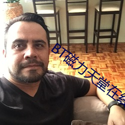 BT磁力天(天)堂在线