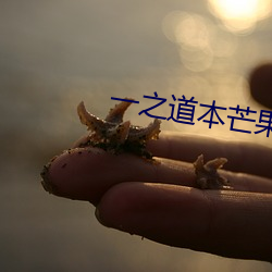 一之道本芒果tv2021