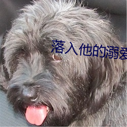 落入(rù)他(t)的溺爱