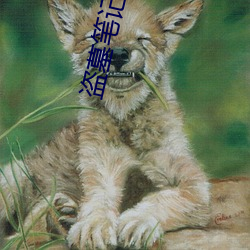 盗墓笔记大结局下 （逐鹿中原）