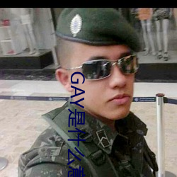 GAY是(shì)什么意思