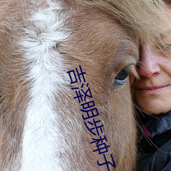 吉泽明步种子