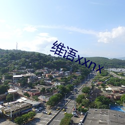 维语xxnx （尘饭涂羹）