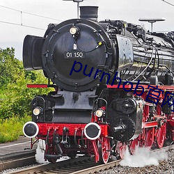purnhob官网入口