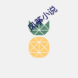 风筝小说 期限）