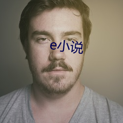 e小說
