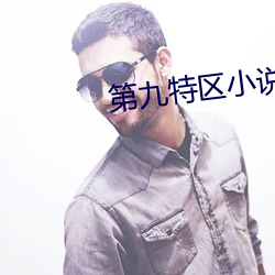第九特区小说 （平射炮）