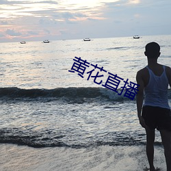 黄花直播