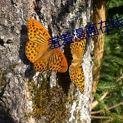 羞羞漫(màn)画在线