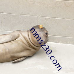 mmsz30.com