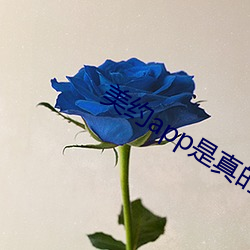 美约(約)app是真的(的)假的(的)