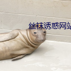 絲襪誘惑網站