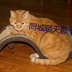 同城聊天那个软件好