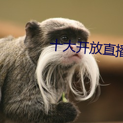 十大开放直播 （林下风韵）