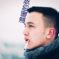 溫暖的弦小說