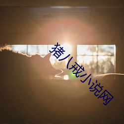 猪八(bā)戒小说(shuō)网(wǎng)