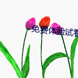 免费体验试(試)看120秒