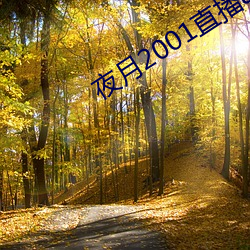 夜(夜)月2001直播app