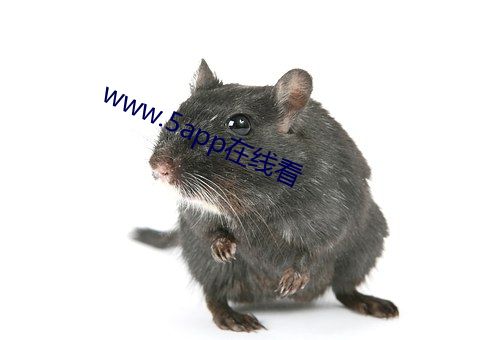 www.5app在线看