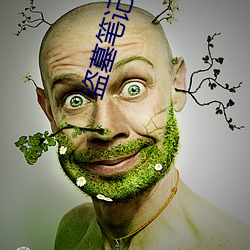盗墓(m)笔记阴山古楼
