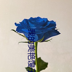 我的美艳馊子H （问柳评花）