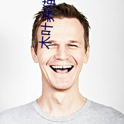 木叶养猫人 （散失